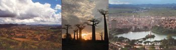 3 small pictures from Madagascar